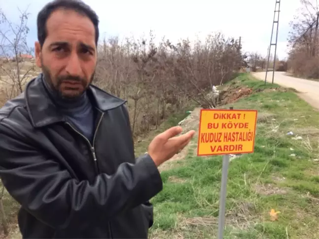 Elazığ'da Bir Köyde Kuduz Karantinası