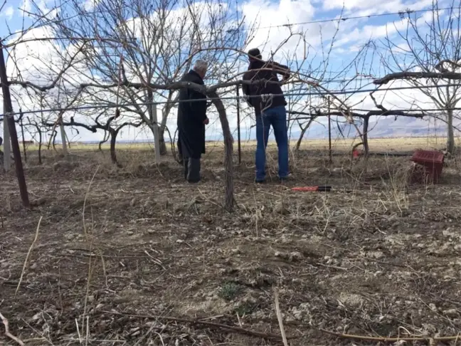 Bağcılıkta Arazi Çalışmaları Devam Ediyor