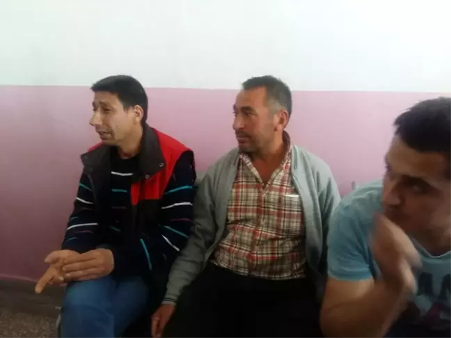 Çorum'da Keneden Ölüm