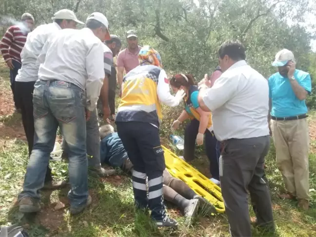Osmaneli'de Traktör Devrildi: 1 Yaralı