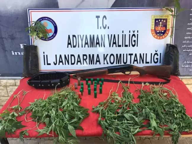 Jandarmadan Uyuşturucu Operasyonu