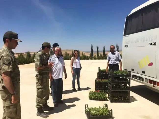 Süleyman Şah Türbesi'nde Çevre Düzenlemesi