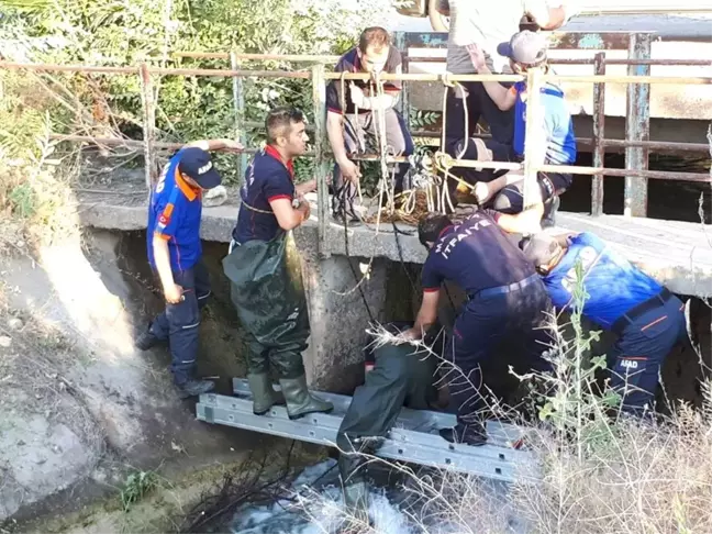 Malatya'da Otomobil Sulama Kanalına Uçtu: 1 Ölü, 2 Yaralı