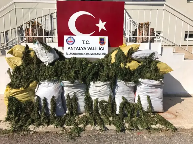Alanya'da Uyuşturucu Operasyonu
