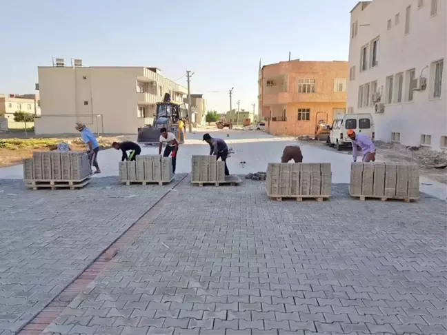 Harran'da Çalışmalar Hız Kesmiyor