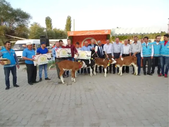 Buzağılar Jürinin Karşısında