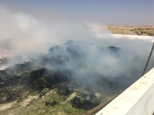 Midyat'ta Hayvan Çiftliğinde Yangın