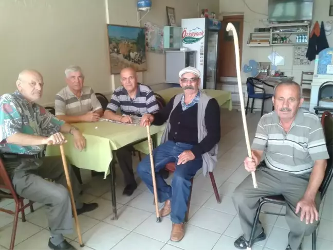 Üzerine Atlayan Köpeklerden Canını Zor Kurtardı