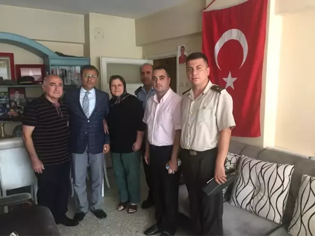 Pamuk:
