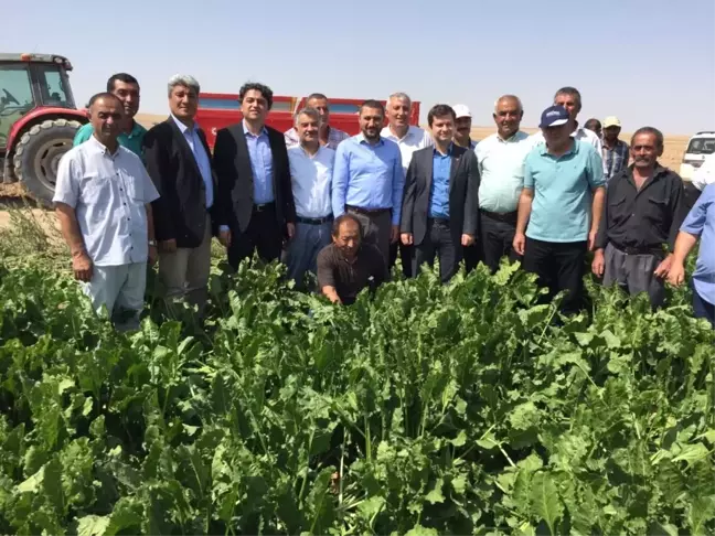 Milletvekili Açıkgöz Pancar Hasadı Yapan Çiftçileri Yalnız Bırakmadı
