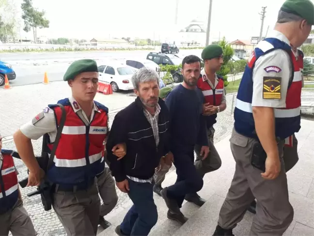 Çanakkale'de Hayvan Hırsızlığı