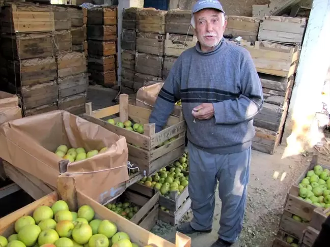 Seydişehir'de 600 Ton Elma Üretildi