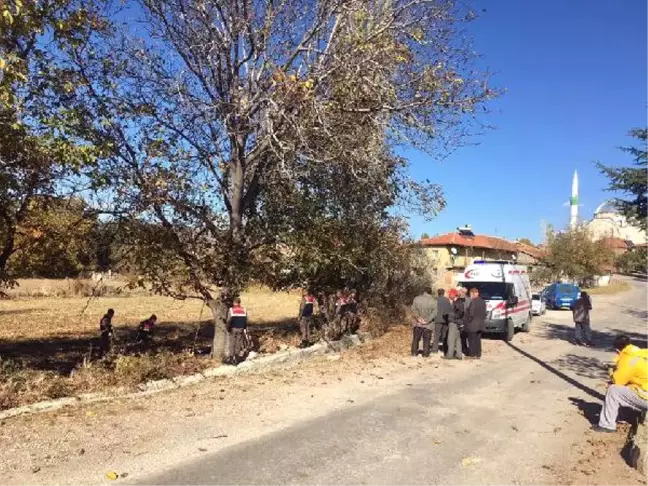 Ceviz Ağacından Düşüp Öldü
