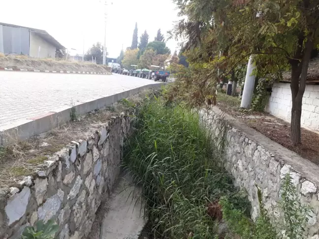Gümülceli'de Dere Temizliği Başladı