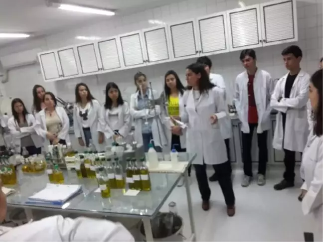 Lise Öğrencileri Zeytinyağı Gurmesi Olacak