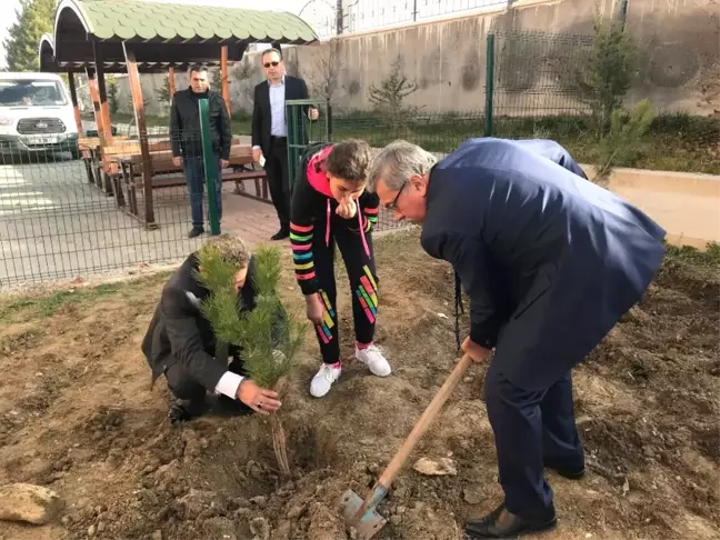 Başkan Çetin, Sirkeli'de Ağaç Dikti