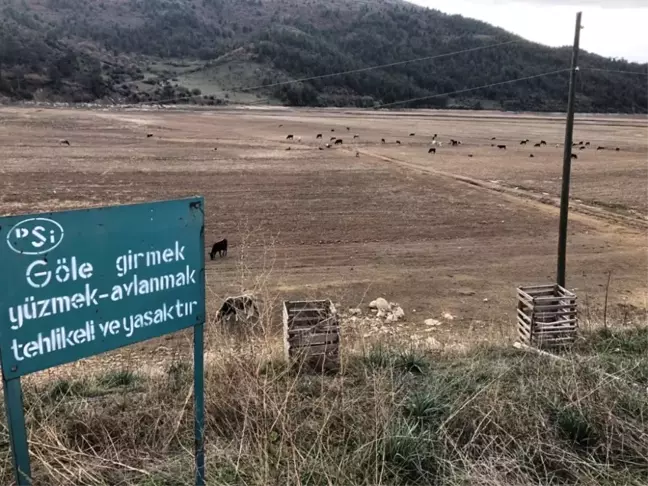 Kuruyan Baraj Meraya Döndü
