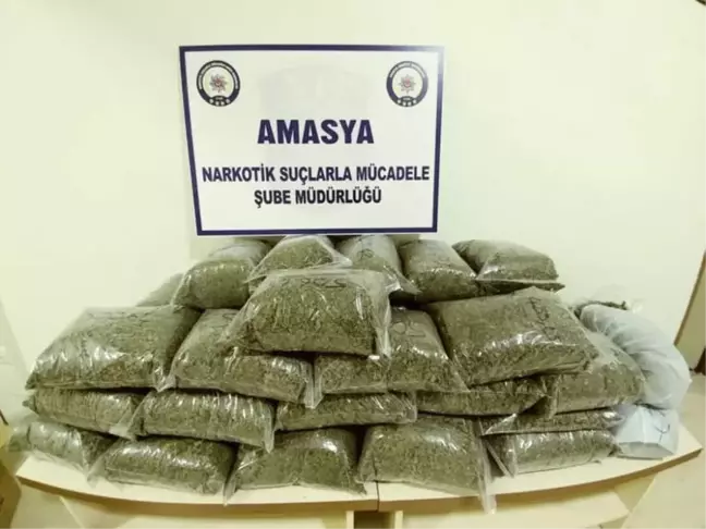 Amasya'da 21,8 Kilo Bonzai Ele Geçirildi