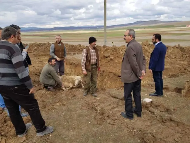 Aslanapa'da Hayvan Pazarının İnşaatına Başlandı