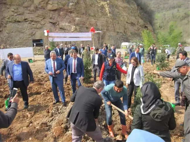Fatsa'da
