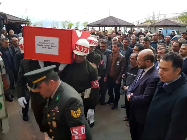 Afrin Şehidinin Naaşı Memleketi Tokat'ta