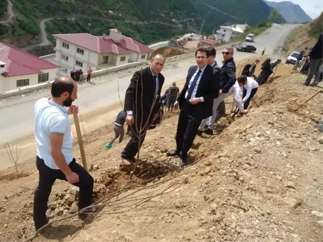 Kürtün'de Meyve Fidanları Toprakla Buluştu