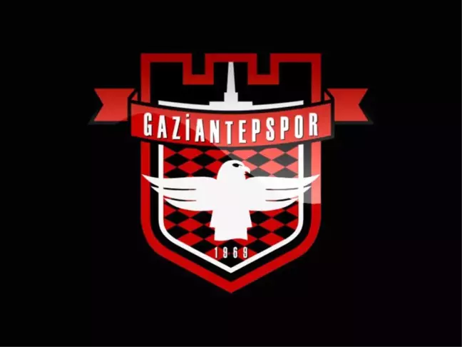 Kırık Kanatlı Şahinler