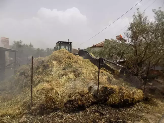 260 Paket Saman Kül Oldu