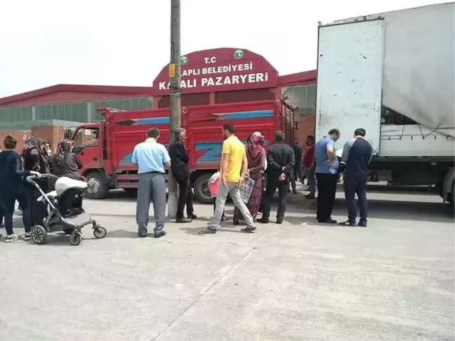 Alaplı'da Genç Çiftçilere Hayvan Desteği