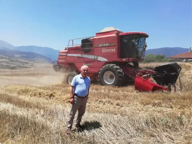 Karabük'te Buğday Hasadı Başladı
