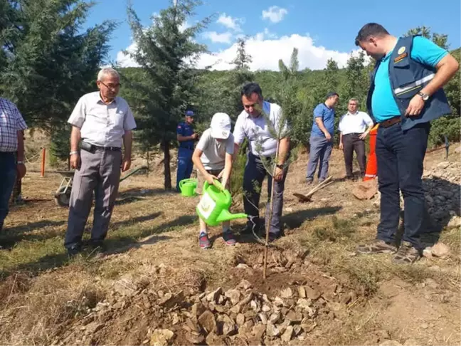 15 Temmuz Şehitleri ve Gazileri Anısına Fidan
