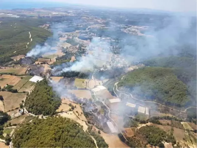 Manavgat'ta Orman Yangını (2) - Yeniden