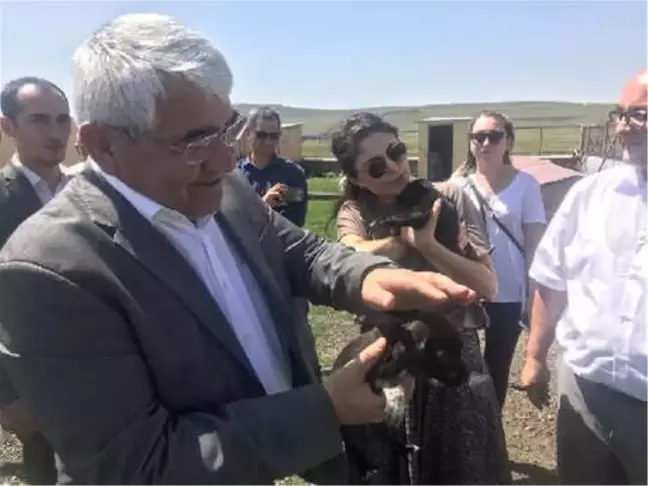 Kars'taki Hayvan Barınağı Sorumluları Hakkında Soruşturma Başlatıldı (2)
