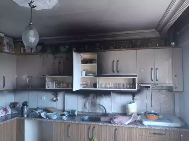 Ereğli'den Kısa Kısa