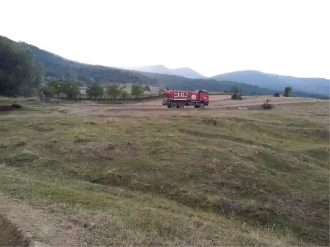 Anız Yangını Ormana Sıçradı