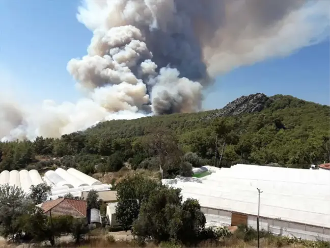 Antalya'da Orman Yangını