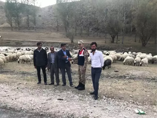 Çobanın Ellerini Bağlayarak 135 Hayvanı Çaldılar