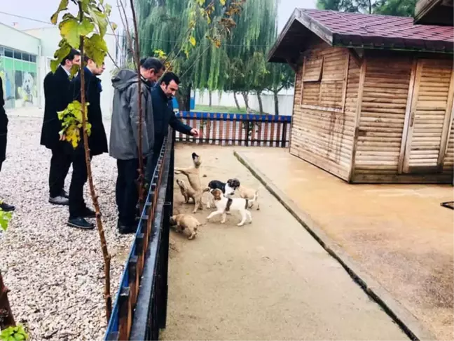 Büyükşehirin Hayvan Bakım ve Tedavi Merkezi Tam Not Aldı