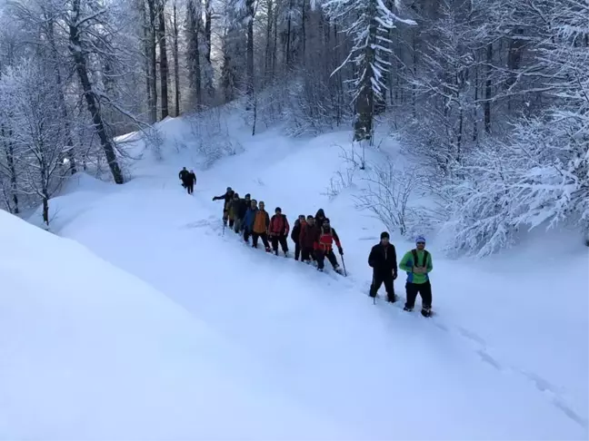 En Çok Domaniç Dağlarını Tercih Ediyorlar