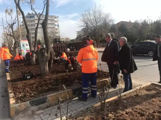 Kilis'te Lale Devri