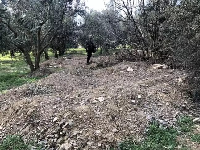 Defineciler, 2 Bin 500 Yıllık Dikilitaş'ın Çevresini Delik Deşik Etti