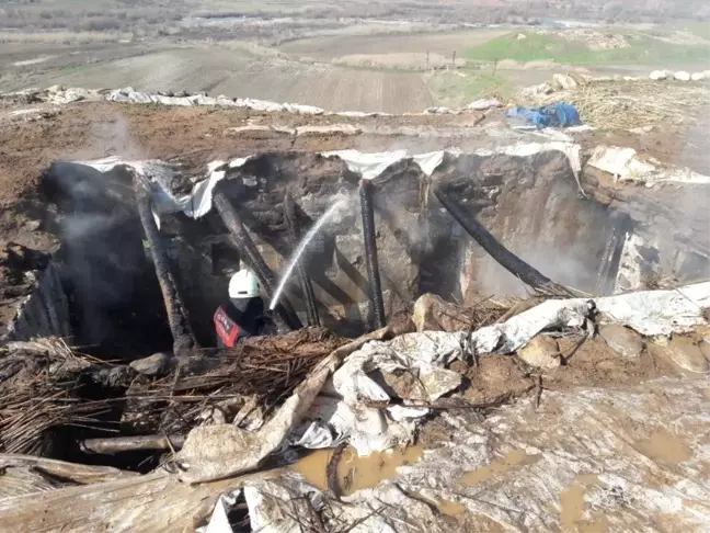 Siirt'te Çıkan Yangında Ev ve Ahır Kül Oldu