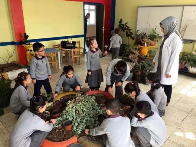 Sınıfı Botanik Parka Dönüştürdüler