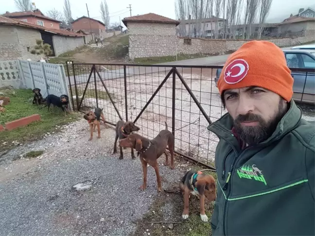 Bir Köpek Katliam Haberi de Kütahya'da