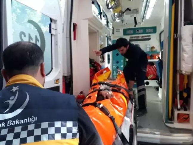 Orman İşçisi, Kestiği Ağacın Altında Kaldı