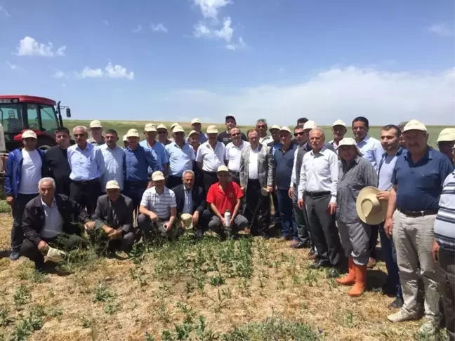 Kulu'da süne ile mücadele konulu uygulamalı tarla günü yapıldı