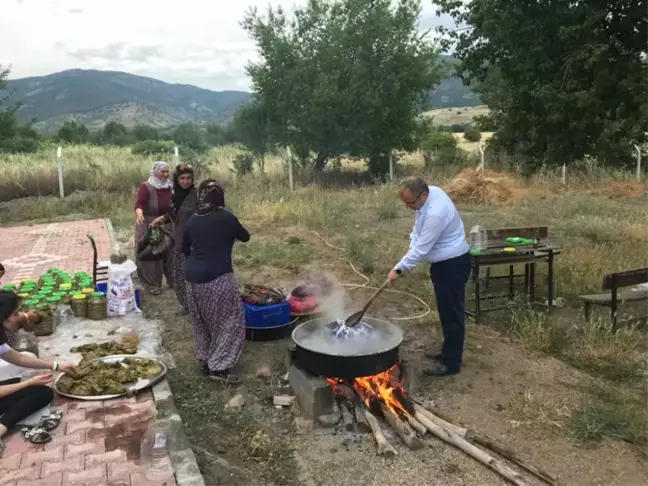 Kaymakam Üçer, Tokat'ın meşhur asma yaprağını topladı