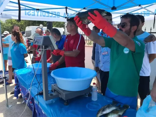Tekirdağ'da Zıpkınla Balık Avı Şampiyonası heyecanı