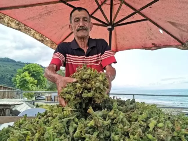 Karadeniz'de fındık tezgaha 15 liradan indi