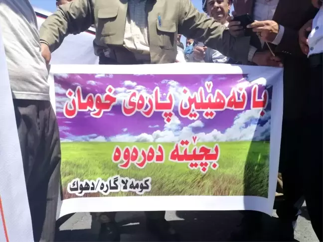 Irak'ta tavuk yetiştiricilerinden protesto